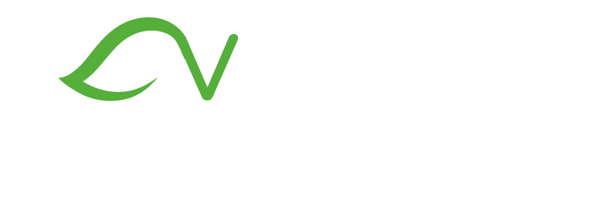 Verdisia Energie